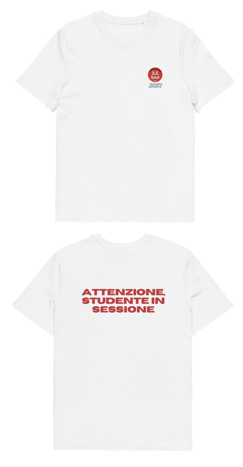 STUDENT IN TEE SESSION